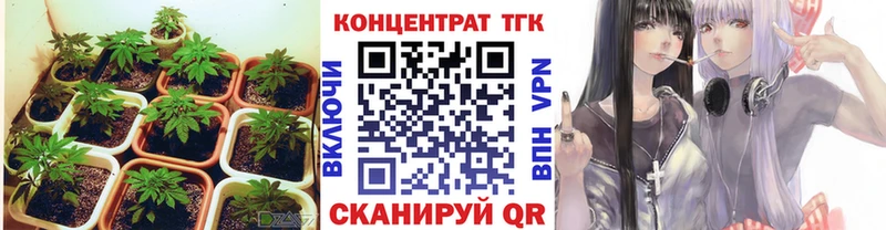 Дистиллят ТГК гашишное масло  Купить где  Северск 